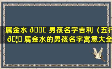 属金水 🐝 男孩名字吉利（五行 🦊 属金水的男孩名字寓意大全）